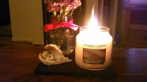 #waveoflight