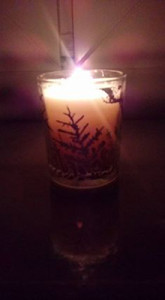#waveoflight