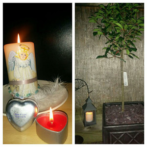 #waveoflight